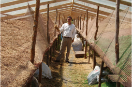 natural_drying