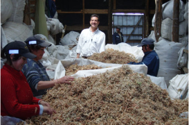 packing_process